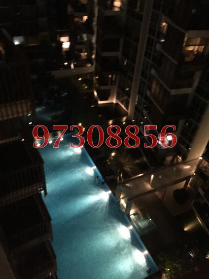 Floridian (D21), Condominium #68711512